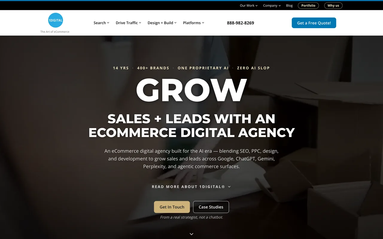 1Digital Agency homepage screenshot, Ecommerce PPC with Shopping and Performance Max feed work