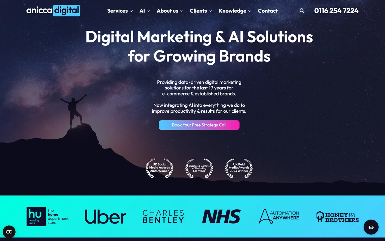 Anicca Digital homepage screenshot, Integrated digital marketing and SEO