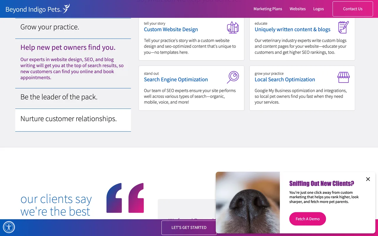 Beyond Indigo Pets homepage screenshot, Veterinary SEO and full-service digital marketing