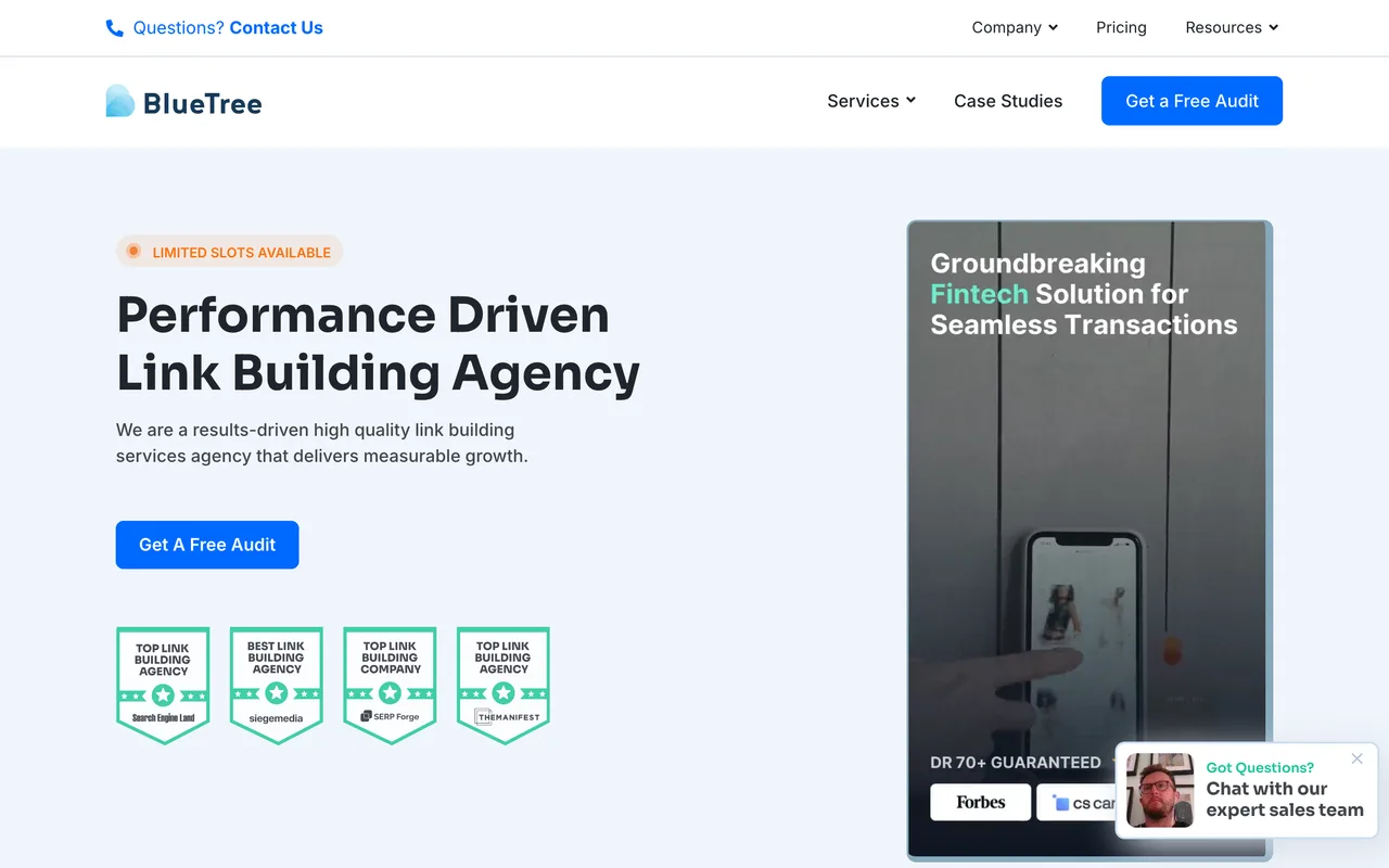 BlueTree Digital homepage screenshot, B2B link building and white-label SEO