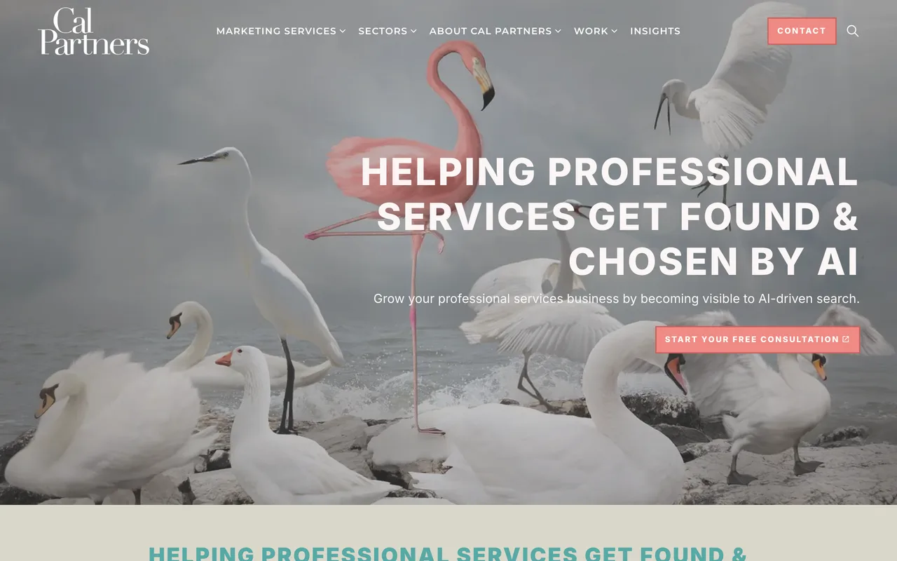 Cal Partners homepage screenshot, Marketing, SEO and AI search optimisation