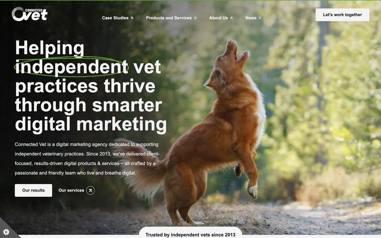Connected Vet homepage screenshot, Digital marketing and SEO for independent vet practices