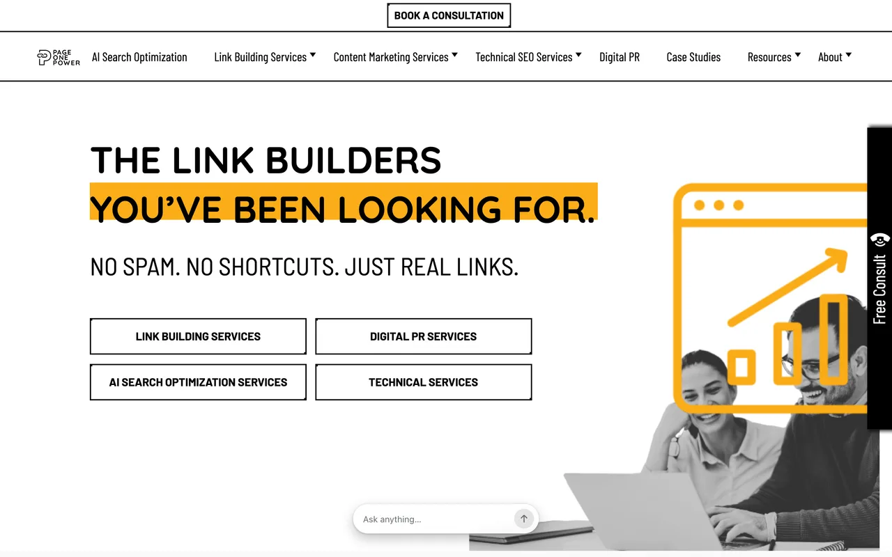 Page One Power homepage screenshot, Manual, custom link building