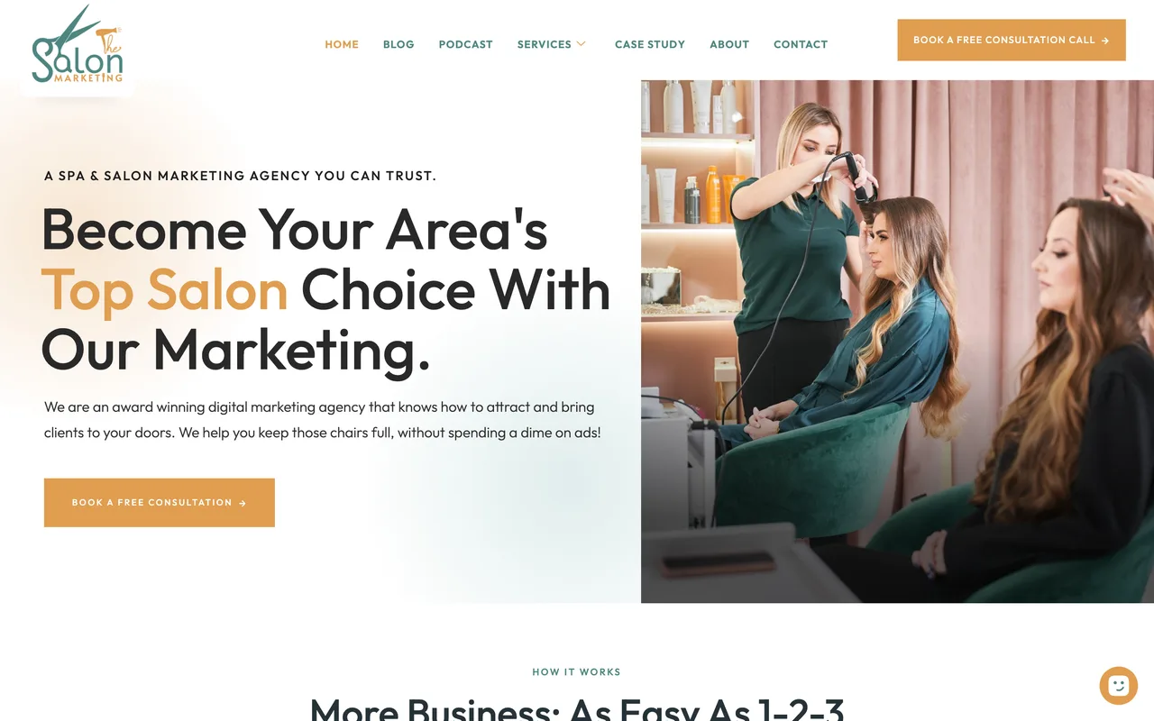The Salon Marketing homepage screenshot, Local SEO for salons and spas