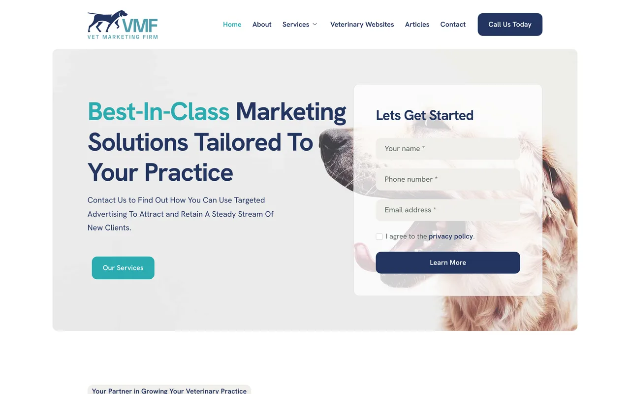 The Vet Marketing Firm homepage screenshot, Local SEO and content for veterinary practices