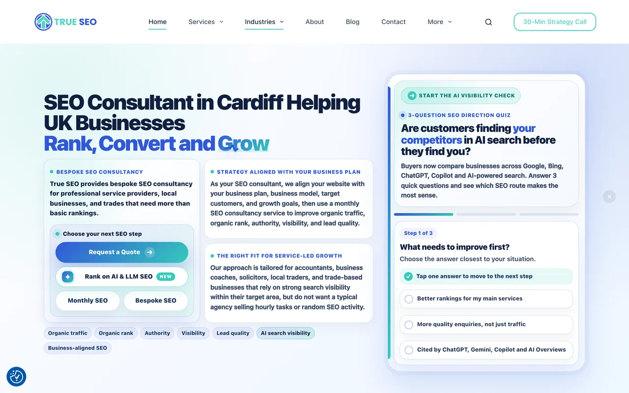 True SEO homepage screenshot, Semantic and B2B SEO for service businesses