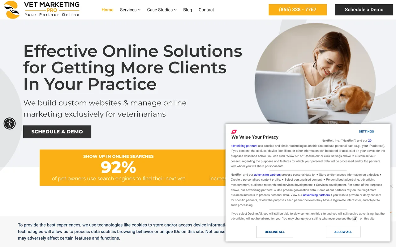 Vet Marketing Pro homepage screenshot, Veterinary websites and local SEO