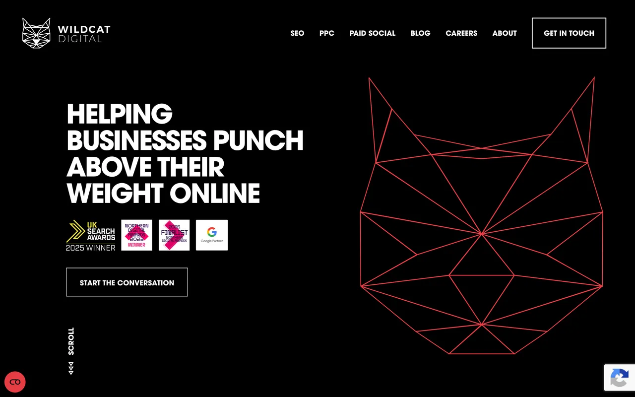 Wildcat Digital homepage screenshot, SEO, PPC and paid social for smaller businesses